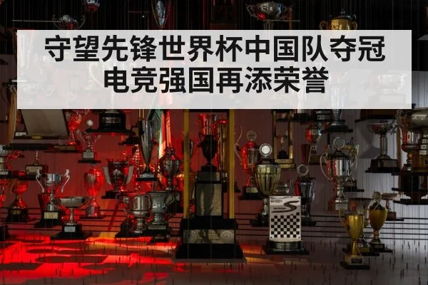 守望先锋世界杯中国队夺冠电竞强国再添荣誉